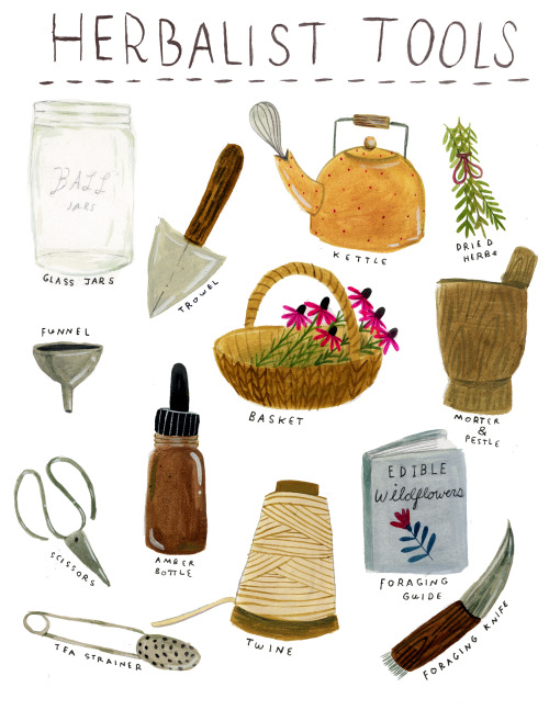 One of my favorite aspects of practice herbalism is all of the tools that go into making the process