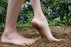 thedirtysoles:   Why Walking Barefoot Might