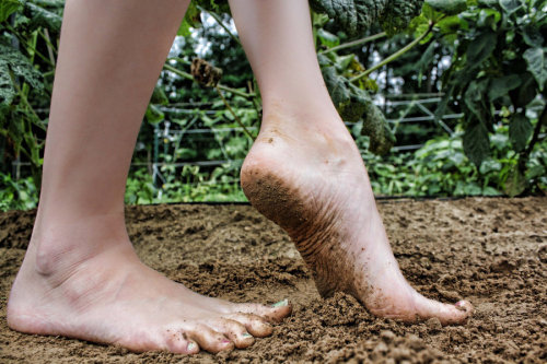 thedirtysoles:   Why Walking Barefoot Might porn pictures
