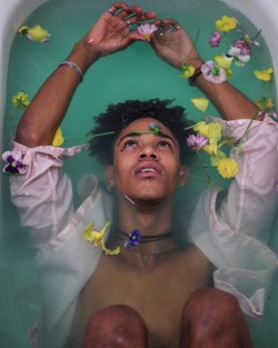 egotisticalgold:  Rebirth of Flower Boy by Gina South