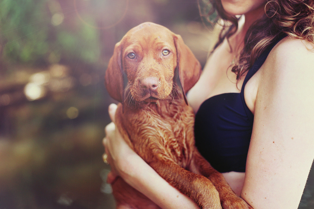 handsomedogs:    Dog | Anna Konieczna  