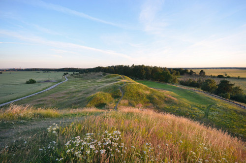 rosesinaglass: viking mounds by RdeUppsala on Flickr.