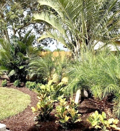 Landscape Mulch Orlando