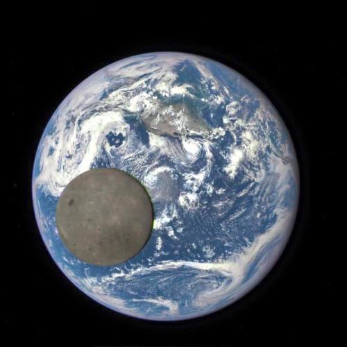 coolthingoftheday:The moon passed between ‪NASA‬’s Deep Space Climate Observatory and the Eart