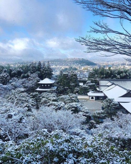 銀閣寺庭園（慈照寺庭園）② Ginkakuji (Jisho-ji) Temple Garden, Kyoto ーー東山文化の結晶。室町幕府８代将軍・足利義政の命により #善阿弥 #相阿弥 により作庭