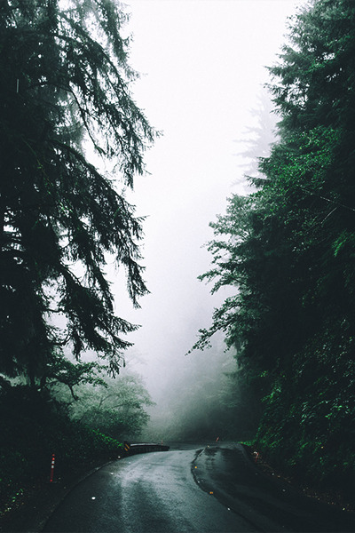 ×