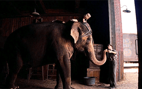 dailyflicks:ROBERT PATTINSON & REESE WITHERSPOONWATER FOR ELEPHANTS (2011) dir. Francis Lawrence