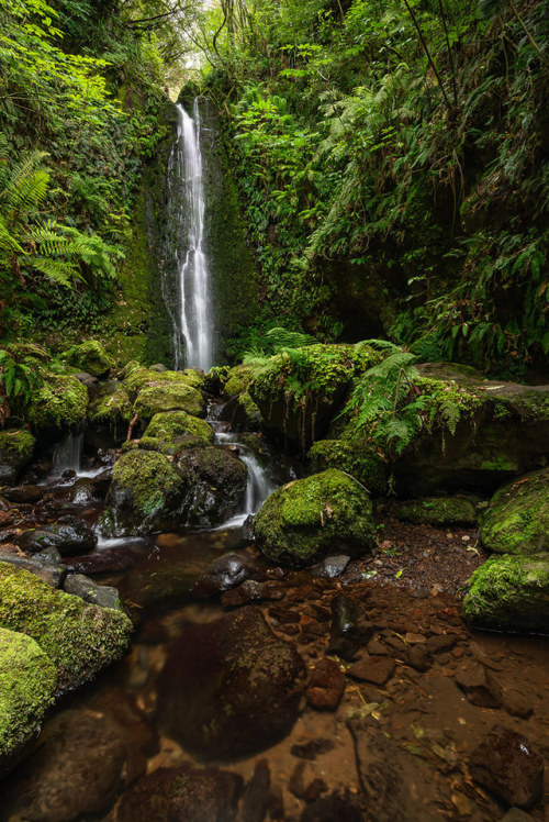 wanderthewood - Nicholas Falls, Otago, New Zealand by Orange Orb...