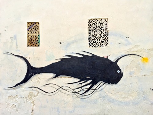 charminglyantiquated: florententine street art 1/? don’t know their name but they draw small s