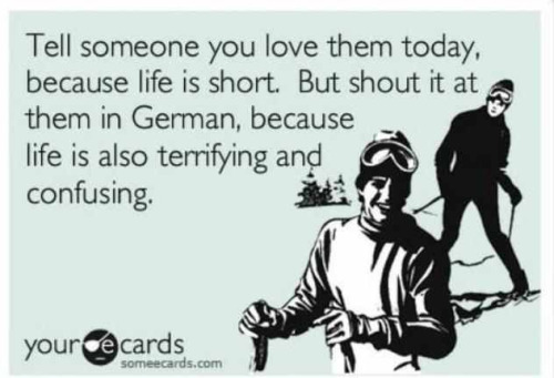 gwynfdd:  😂“Ich liebe dich!!!”