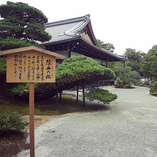 #Giappone #Japan #Nihon #Kinkakuji #Japanesegarden #Traditionalhouse #Kyoto #Summer #2014 #Instatrav