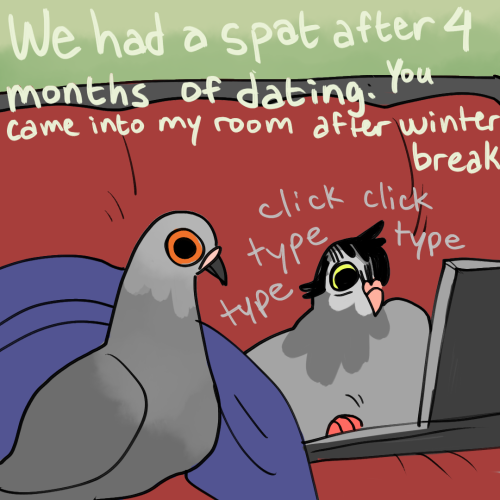 Pigeon Break Up stories