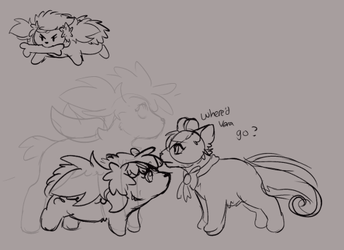 Im Playing The Pmd Randomizer And Somehow Ended Up With A Vulpix Hero And A Shaymin Partner