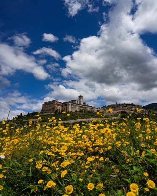 Spectacular view of the Basilica of San Francesco taken from the countryside below by @chrisma1105 