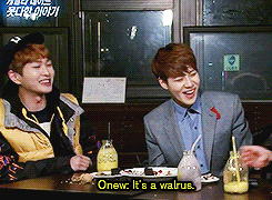 mintytaemin:   the full story why Onew cry~  