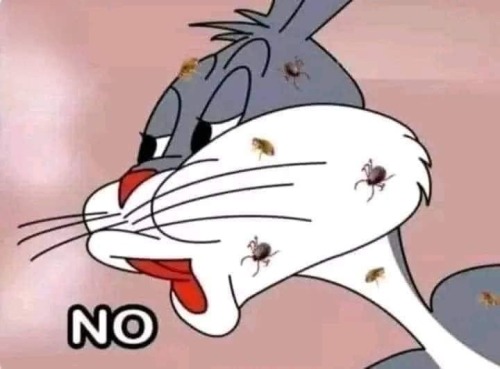 Them: Stop Picking Up Stray Cats
