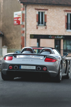 stayfr-sh:  Carrera GT 