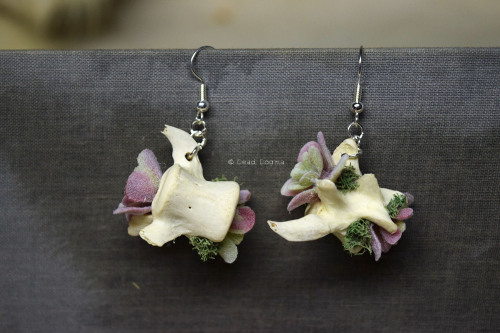 Raccoon vertebrae with fake succulent earrings - Available here | Store | Facebook | Instagram | Ko-