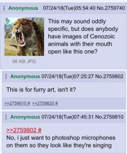 adulthoodisokay: /an/ is an underrated board