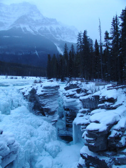 mitlas:  Athabasca Falls, Canada (by fredemily)