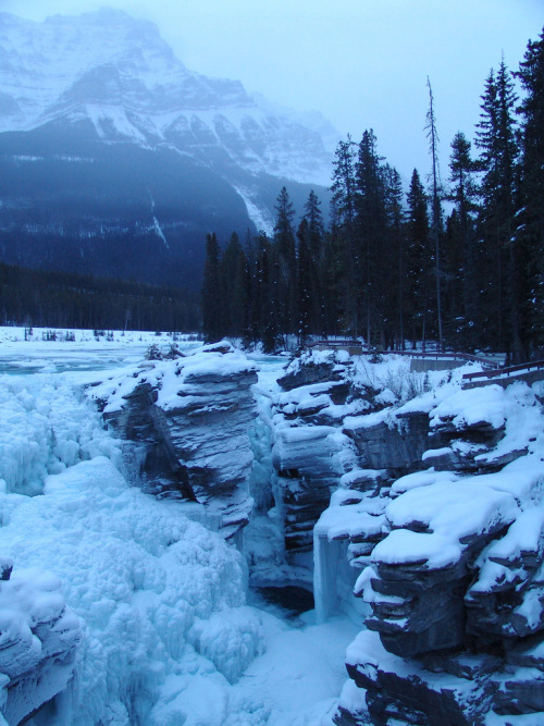 mitlas:  Athabasca Falls, Canada (by fredemily)  *W*