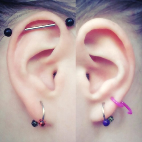 My pierced ears and recent order from Crazy Factory shop! :D