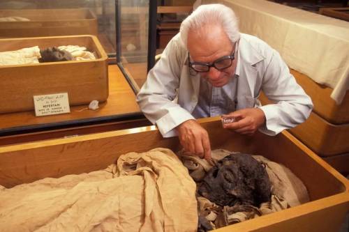 Restoring the Mummy of Ahmose IDr. Nasri Iskander, Curator of Mummies, restoring the mummy of the gr