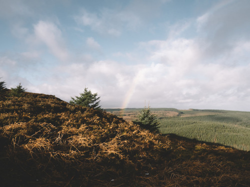 Thrunton Woods and Long Crag, Northumberland, England.