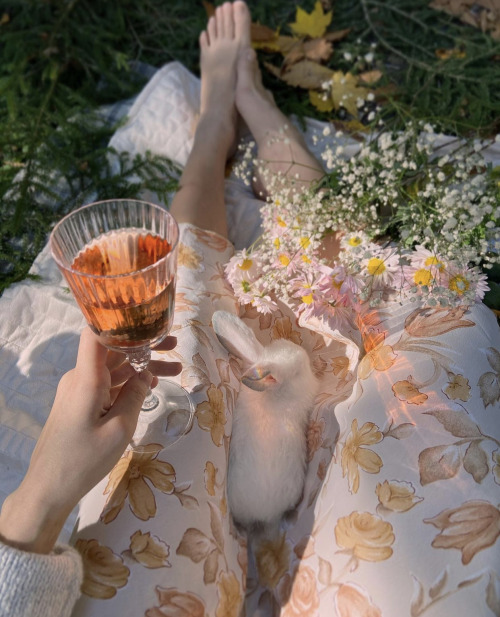 Source: Sunsetoned