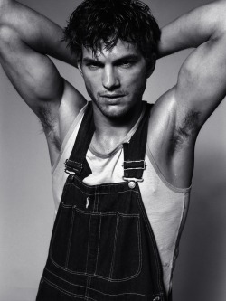 celebpits:  Ashton Kutcher