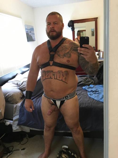 alwayshornybear:  daddy bear is HOT