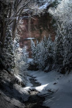 bluepueblo:  Snow Canyon, Colorado photo