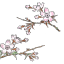 5pringtime