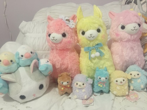 kawaiiwoobat: Finally my new children are with me! Still have to wait till nov. for my white&amp