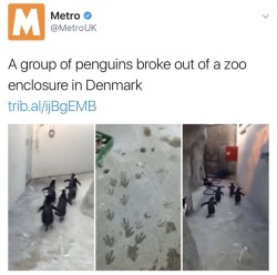 phony-time-traveler:  stability: smile and wave boys, smile and wave No but this is amazing because according to the tv show some serious shit when down in denmark, and it’s never fully specified 