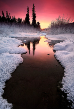 travelgurus:  The Winter Tones of Alaska by   Ron Perkins    Travel Gurus - Follow for more Nature Photographies!   