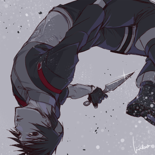 time-flies-fal: 忍務