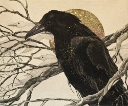 english-idylls: Beki Killorin, A Raven’s