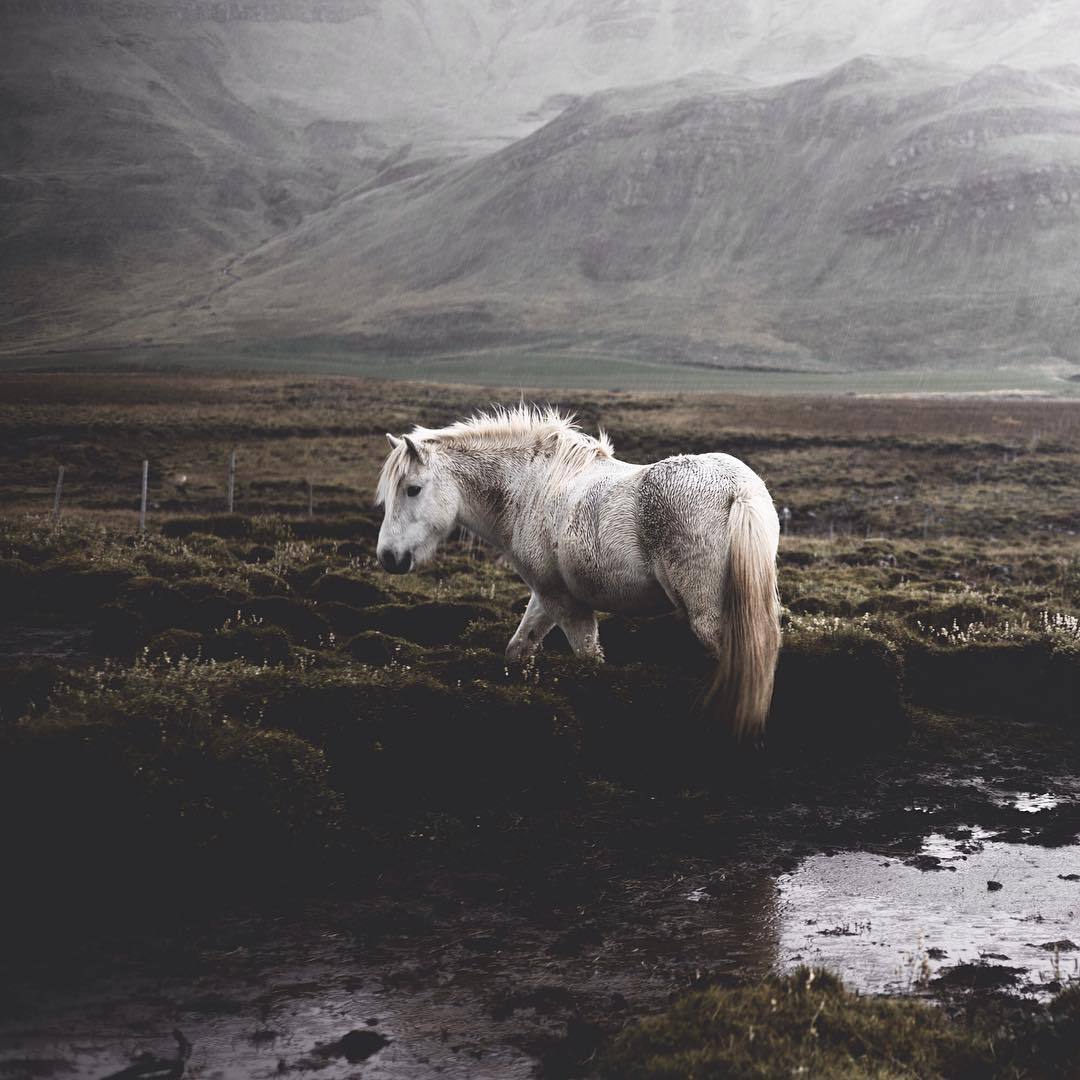 grace&ndash;upon&ndash;grace: Iceland,  Thomas Seear-Budd