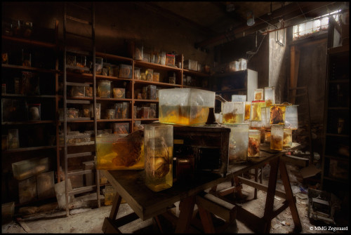 sixpenceee:  An imgur user shared what he calls “The Real Frankenstein Laboratory” hidden in the basement of the School of Veterinary Medicine. This lab was discovered deep in abandoned veterinary school and photographed by MMG Zegwaard. (Source &