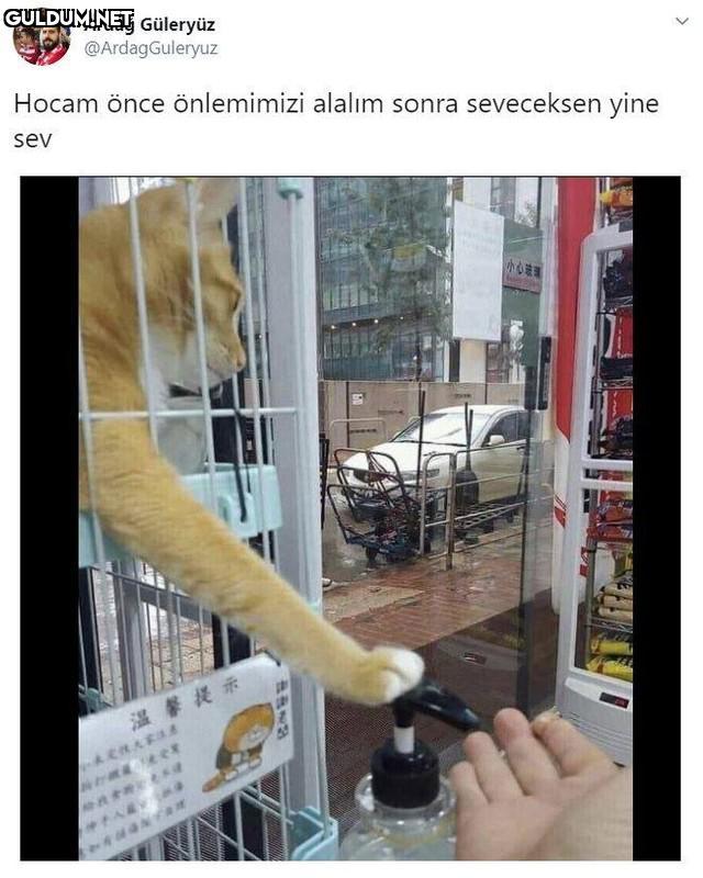 Ardağ Güleryüz...