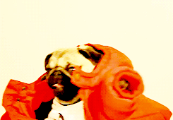 🔅