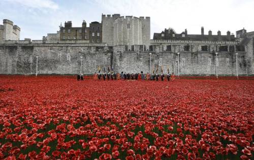 micdotcom:  Breathtaking photos show how Britain does Veterans Day   Veterans Day isn’t just an American holiday. While Americans remember veterans of all wars, the federal holiday coincides with Armistice Day, where countries around the world mark