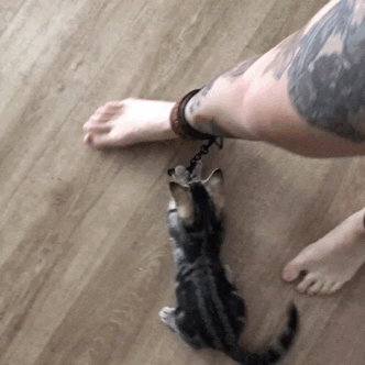 alt-nymph:slave/kitten bonding time ⛓🐱
