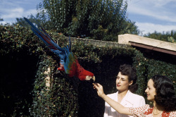 natgeofound:  Two women give food to a red