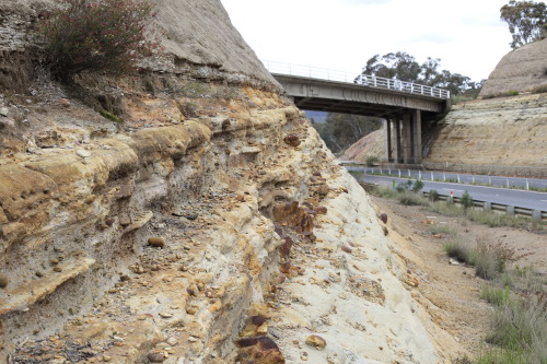 2021: Glacial dropstones in the Permian Berry Siltstone at the oft-visited Mudgee Rd overpass cuttin