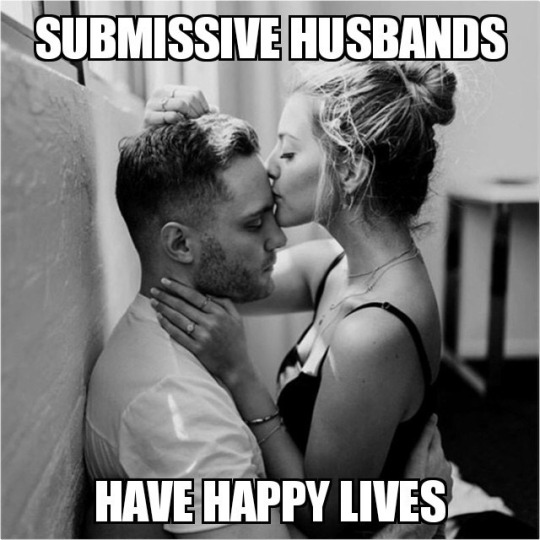 bi-cuck-in-bermuda:  