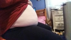 Fatgirlbellylover:  Fattieporker:  It’s My Belly    Big Bellies Are Better :) 