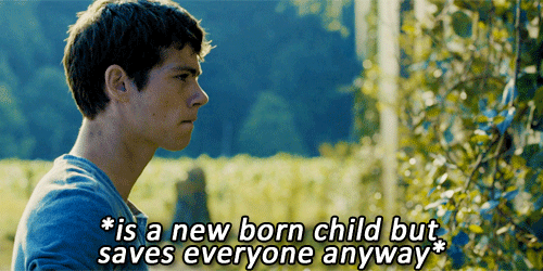 kitkatminho:  The Maze Runner » A Summary