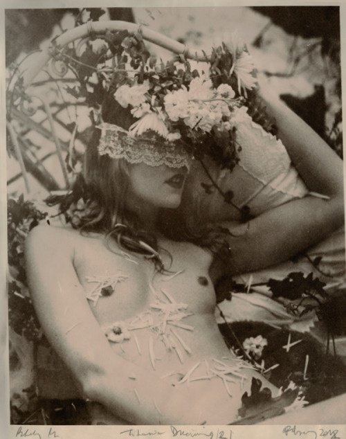 housebanshee:  Paulina Otylie Surys 